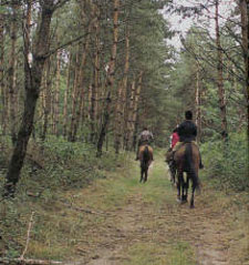 Hungary-Hungary-Somogy Naturepark Ride